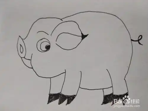 猪年萌萌小猪的简笔画法