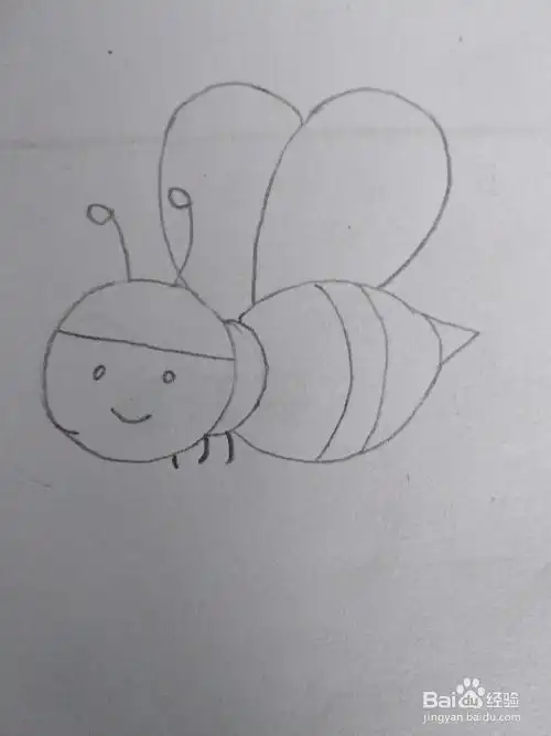 适合宝宝的简笔画小昆虫蜜蜂的画法