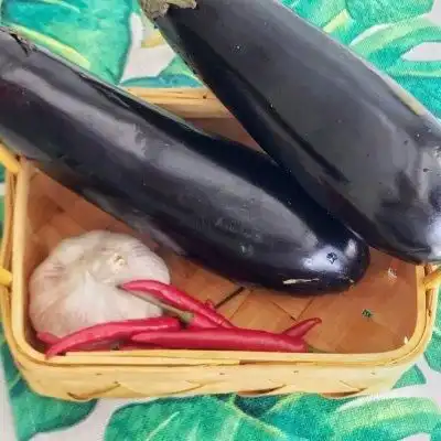 入秋滋补正当时烧烤必点蒜蓉烤茄子