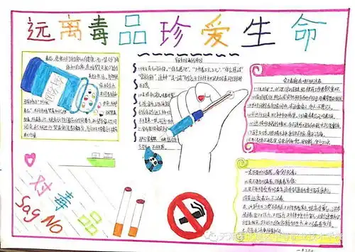 禁毒教育手抄报展示