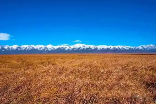 有一种秋色,叫青海