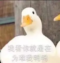 一件大鹅引发的血案,留学生让男友送加拿大鹅,男友却送了波司登要分手吗