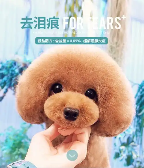 狗粮通用型泰迪10斤麦咖果蔬贵宾比熊幼犬成犬双拼5斤10斤20斤