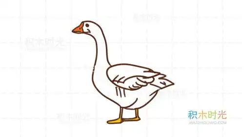 鹅简笔画大全,学绘画同时学知识