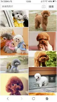 泰迪幼犬本来吃泡的狗粮一不小心吃了没有泡的狗粮吃多了吐了现在精神不好怎么办