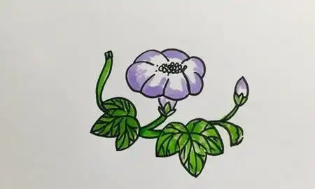 荷花简笔画步骤图解