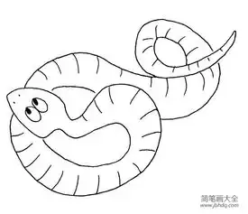 关于蛇的简笔画图片精选