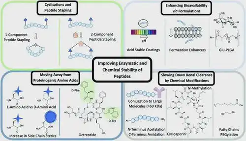 环肽引领者bicycletherapeutics首次在华申报临床,靶向nectin4双环肽偶联药物bt8009被给予厚望