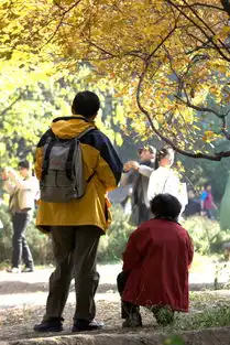 香山秋色