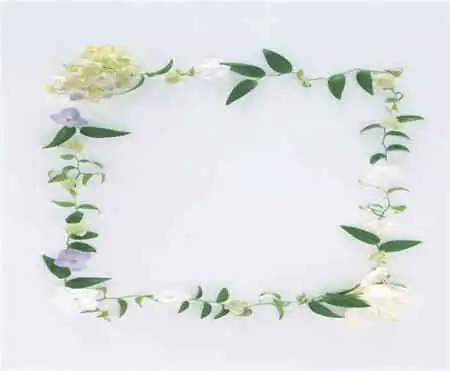 黑板报花边手抄报的编排设计