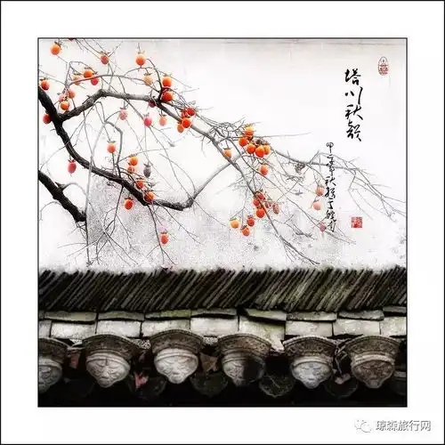 2017徽州秋色之婺源篁岭晒秋黟县宏村塔川卢村歙县姬公山阳产土楼石潭秋色之5日非周末行摄之旅,11月1317日