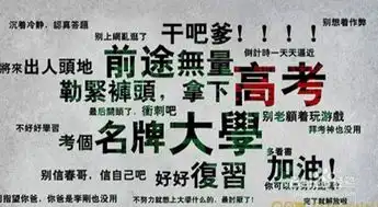 高考冲刺100天高效
