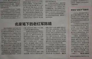 感动由一碗饺子引发的活动这是绿军装和红领巾的约定