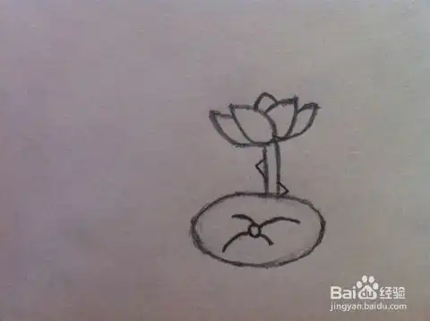 荷花怎么画简笔画