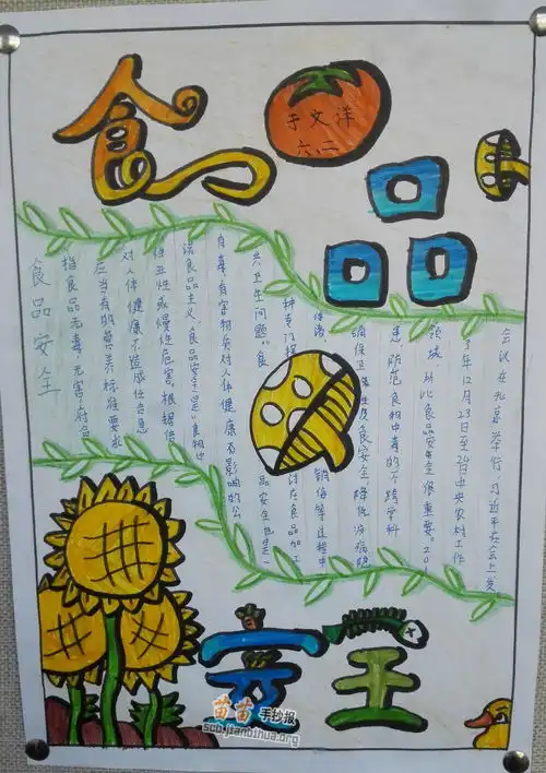 小学生食品安全手抄报图片大全内容