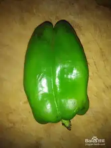 胡萝卜土豆炖茄子青椒