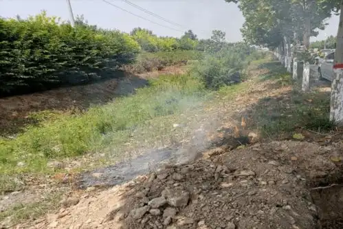 天干物燥,注意防火濮阳一路边树木着火...