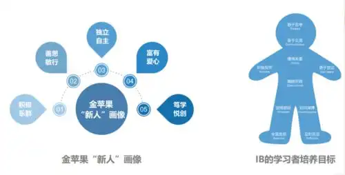 金苹果的pyp早期教育发展探索之路