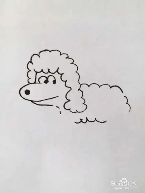 如何画泰迪小狗三
