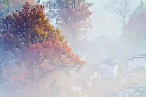 青青旅行11.2526婺源秋色篁岭晒秋石城晨曦长溪徒步