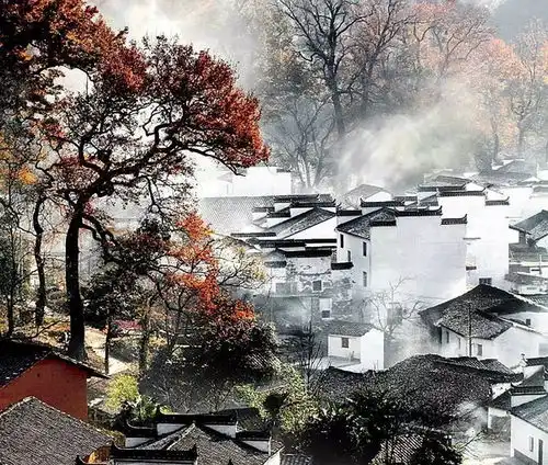 为什么我劝你秋天一定要去一次婺源