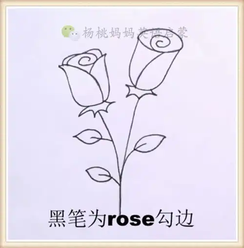 英语萌萌画rose玫瑰花
