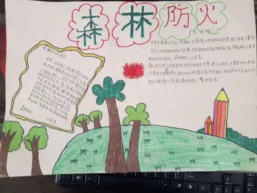 滇滩镇中心小学开展防火常抓,青山常在森林防火安全教育系列活动