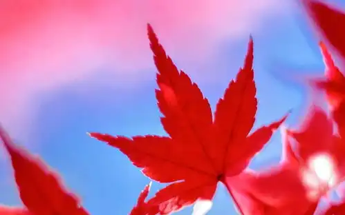 夜读爱情变了,我们还能做什么