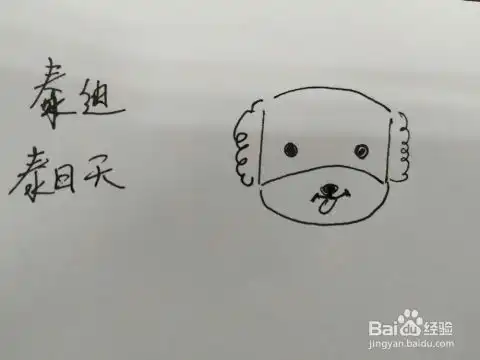 泰迪小狗泰日天简笔画的画法,滑稽又有趣