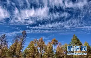 秋色迷人的阿尔山