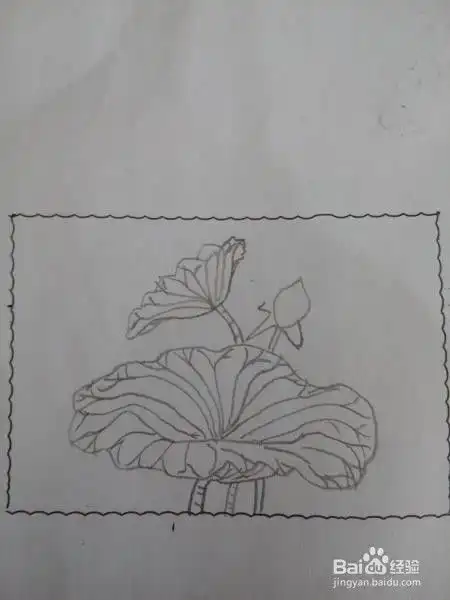 怎样简笔画荷叶荷花