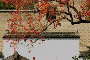 今天,她67岁了原来,我们真的可以这样爱她