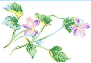 黑板报花边夏天的藤条