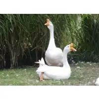 价格厂家中国供应商