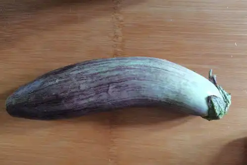 烧辣椒茄子