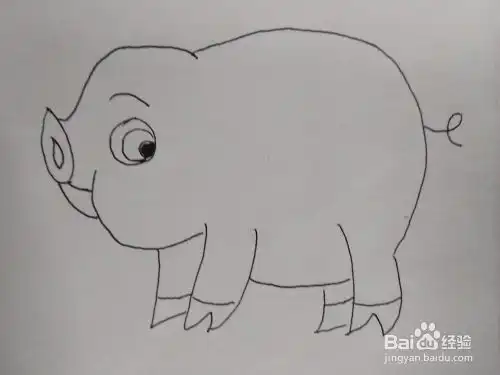 猪年萌萌小猪的简笔画法