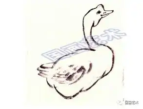 图文教程写意鸡鸭鹅画法