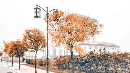 高校秋景大片来袭,比心