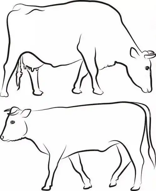 动物简笔画线描集锦,都是干货一
