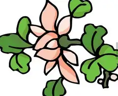 黑板报花边简单手抄报花边图案夏日绿树枝