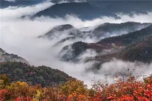 秋天最值得来的地方,最惊艳的秋色尽在青龙峡