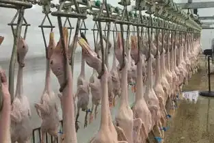 农产品地理标志羲之爱鹅湖州太湖鹅