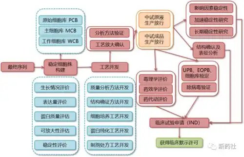 史上最全药品研发全流程图总结