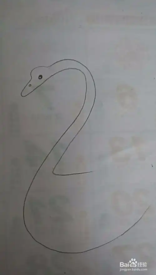 多妈简笔画动物水面游泳的白鹅