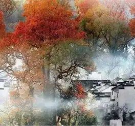 11月国内最美的8个旅行地,秋色美得让人窒息
