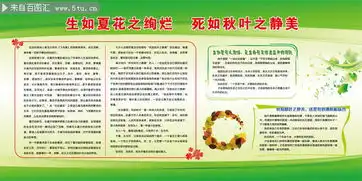 绿色环保知识宣传展板图片素材