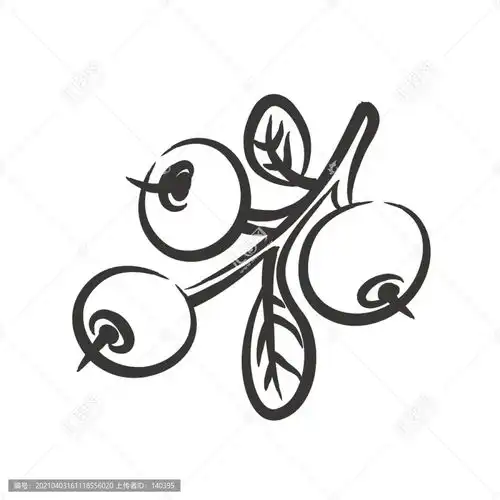 越橘矢量简笔画设计模板下载设计素材素材下的植物花草设计模板