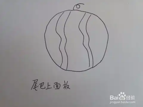 一步一步学简笔画20
