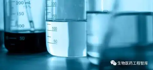 原料药研发流程的相关讲解