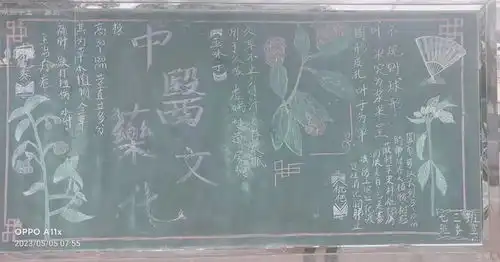内乡初中中医药文化进校园,黑板报助你一臂之力